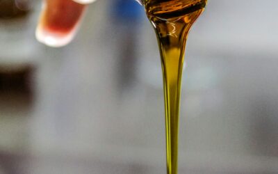 EL MÁSTER EN OLIVICULTURA Y ELAIOTECNIA AMPLÍA SU OFERTA FORMATIVA CON UN CURSO DE ESPECIALIZACIÓN PARA  PROFESIONALES DEL SECTOR OLEÍCOLA